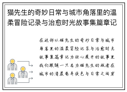 猫先生的奇妙日常与城市角落里的温柔冒险记录与治愈时光故事集篇章记