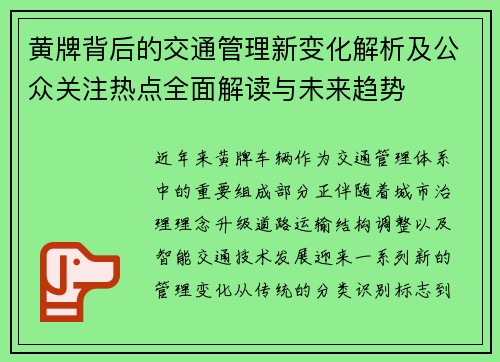 黄牌背后的交通管理新变化解析及公众关注热点全面解读与未来趋势